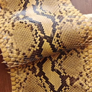 Puede incluir: Primer plano de un trozo de piel de serpiente. La piel tiene un patrón de escamas de color beige, marrón y negro. Las escamas son pequeñas y están muy juntas, creando una superficie texturizada. La piel está doblada, revelando la parte inferior.