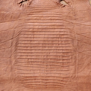 Real lizard skin, Italian genuine iguana leather, exotic leather