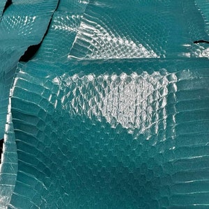 Piel de serpiente 100% auténtica (no Cites) piel de serpiente