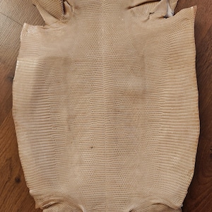 Real lizard skin, Italian genuine iguana leather