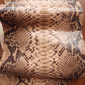 Genuine snake skin (non Cites) snakeskin leather, exotic pelle