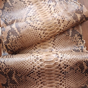 Pelle di serpente autentica (non CITES), pelle di serpente, pelle esotica