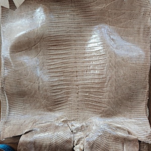 Real lizard skin, Italian genuine iguana leather, exotic leather