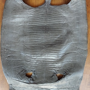Real lizard skin, Italian genuine iguana leather, exotic leather