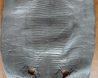 Piel de lagarto auténtica, cuero de iguana genuino italiano, cuero exótico