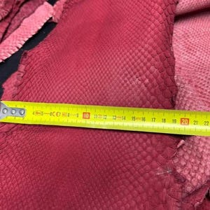 Puede incluir: Primer plano de piel de reptil burdeos con un patrón de escamas. Una cinta métrica amarilla muestra una longitud de aproximadamente 46 cm. El cuero tiene una superficie texturizada y diferentes tonos de rojo.