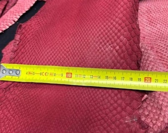 Piel de serpiente auténtica (no Cites), piel de serpiente, piel exótica