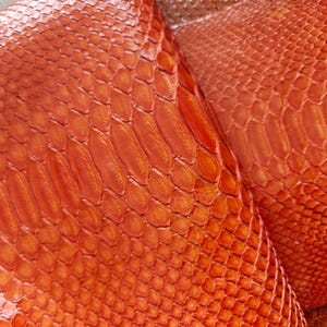 May include: Close-up of two pieces of reddish-orange snakeskin. The scales are visible and have a textured appearance. The leather is folded over, showing the underside.
