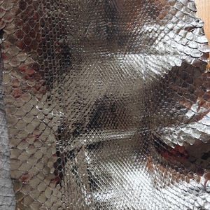 May include: Close-up of a piece of black snakeskin leather. The leather has a glossy finish and a scale pattern. The scales are small and tightly packed together. The leather is likely used for making accessories or clothing.
