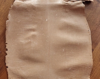 Piel de lagarto auténtica, cuero de iguana genuino italiano