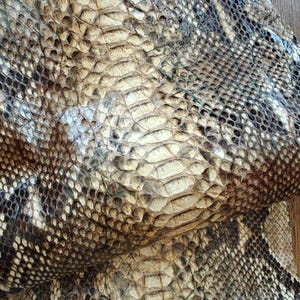 May include: Close-up of a snakeskin pattern. The leather has a natural, textured appearance with a mix of beige, brown, and black scales. The scales vary in size and shape, creating a detailed and organic design. The overall effect is a rugged, natural aesthetic.