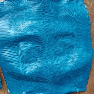 Real lizard skin, Italian genuine iguana leather
