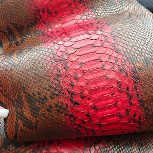 May include: Close-up of a textured leather material with a snakeskin pattern. The leather features a vibrant red colour in the centre, transitioning to brown and black tones on the edges, creating a striking contrast.