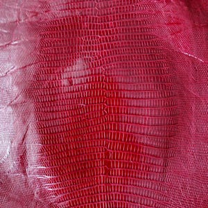 Real lizard skin, Italian genuine iguana leather
