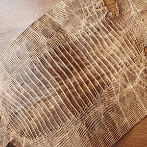 Puede incluir: Primer plano de un trozo de piel de reptil marrón con un patrón texturizado y escamoso. El cuero tiene un aspecto natural y orgánico con vetas e imperfecciones visibles. La piel se utiliza probablemente para la artesanía.