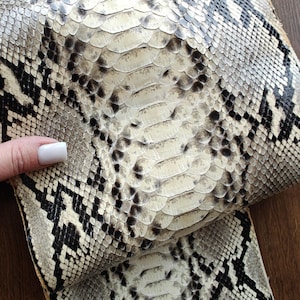 Może przedstawiać: Zbliżenie wzoru skóry węża w odcieniach kremu, szarości i czerni. Widoczne są łuski o teksturowanym wyglądzie. Skóra węża jest złożona, odsłaniając spód. Ogólna estetyka jest naturalna i egzotyczna.