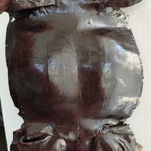 Genuine lizard skin, Italian genuine iguana leather