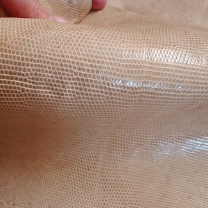 Real lizard skin, Italian genuine iguana leather