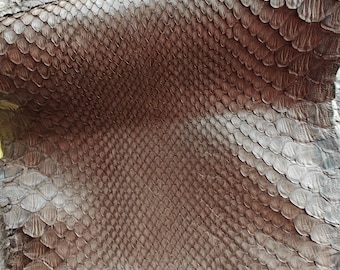 Piel de serpiente auténtica (no Cites), piel de serpiente, piel exótica