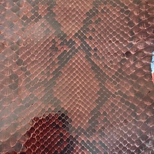 Äkta ormskinnsskinn ormskinnsskinn