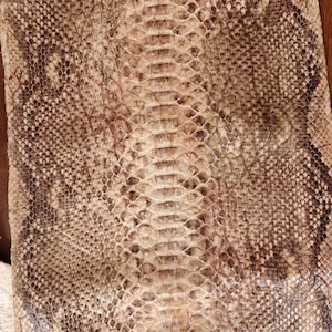 Op de afbeelding: Close-up van een slangenpatroon. De slangenhuid heeft een natuurlijk kleurenpalet van bruin, bruin en zwart. De schubben zijn zichtbaar en creëren een textuur. Het patroon is symmetrisch, met een centraal ruggengraatachtig ontwerp.