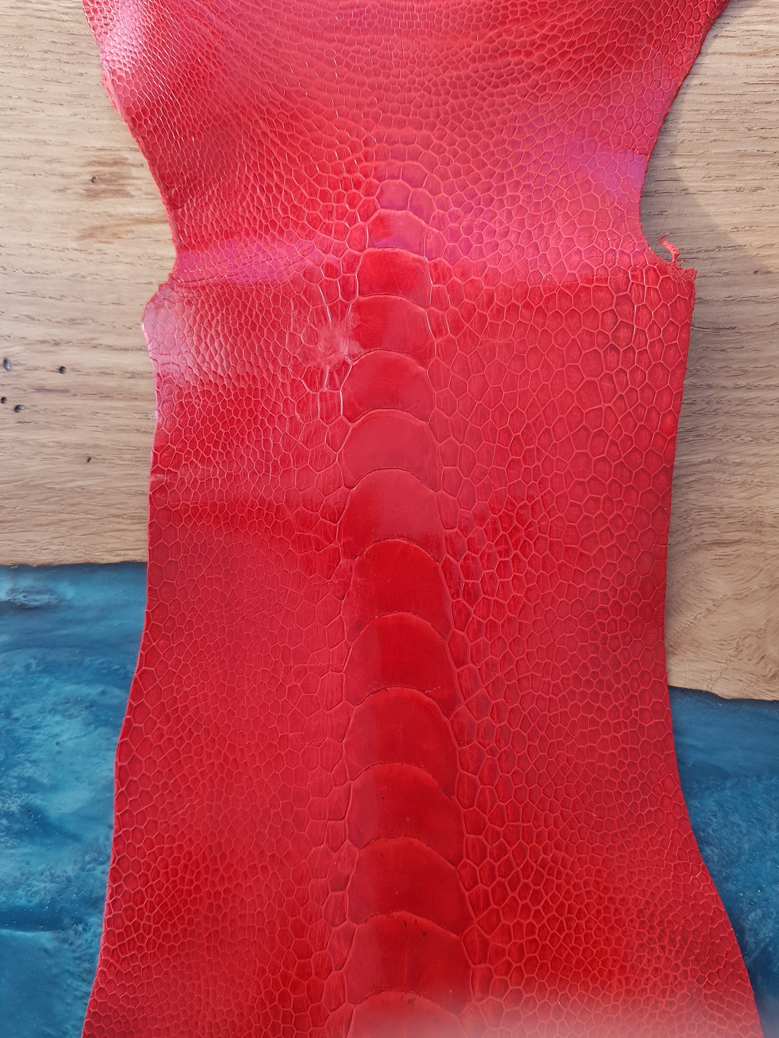 100% genuino avestruz piel de avestruz pierna piel piel | Etsy