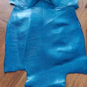 Real lizard skin, Italian genuine iguana skin leather