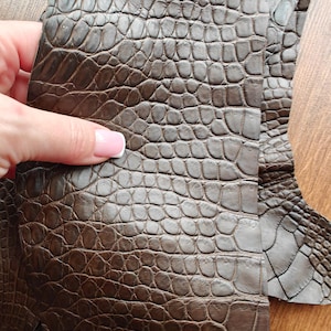 Può includere: Primo piano di pelle marrone con texture a coccodrillo. La pelle presenta un motivo dettagliato a scaglie e un ricco colore marrone scuro. Il materiale è tenuto da una mano con smalto rosa chiaro.