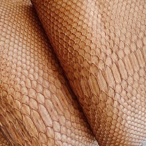 Prawdziwa skóra węża (nie Cites) skóra węża, egzotyczna skóra