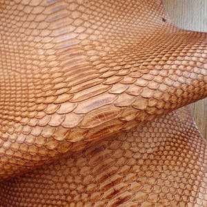 Genuine snake skin (non Cites) snakeskin leather, exotic pelle