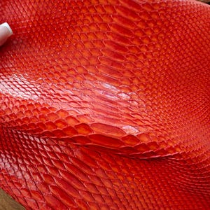 Genuine snake skin (non Cites) snakeskin leather, exotic pelle