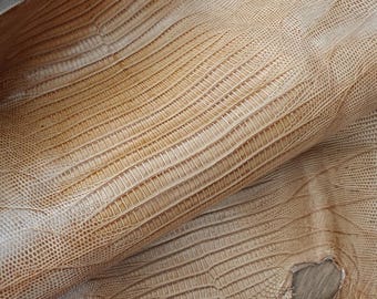 Piel de lagarto auténtica, cuero de iguana genuino italiano, cuero exótico