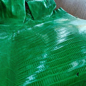Real lizard skin, Italian genuine iguana leather