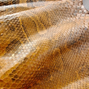 Genuine snake skin (non Cites) snakeskin leather, exotic pelle