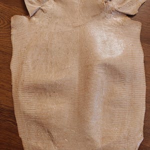 Real lizard skin, Italian genuine iguana leather