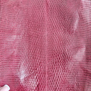 Real lizard skin, Italian genuine iguana leather