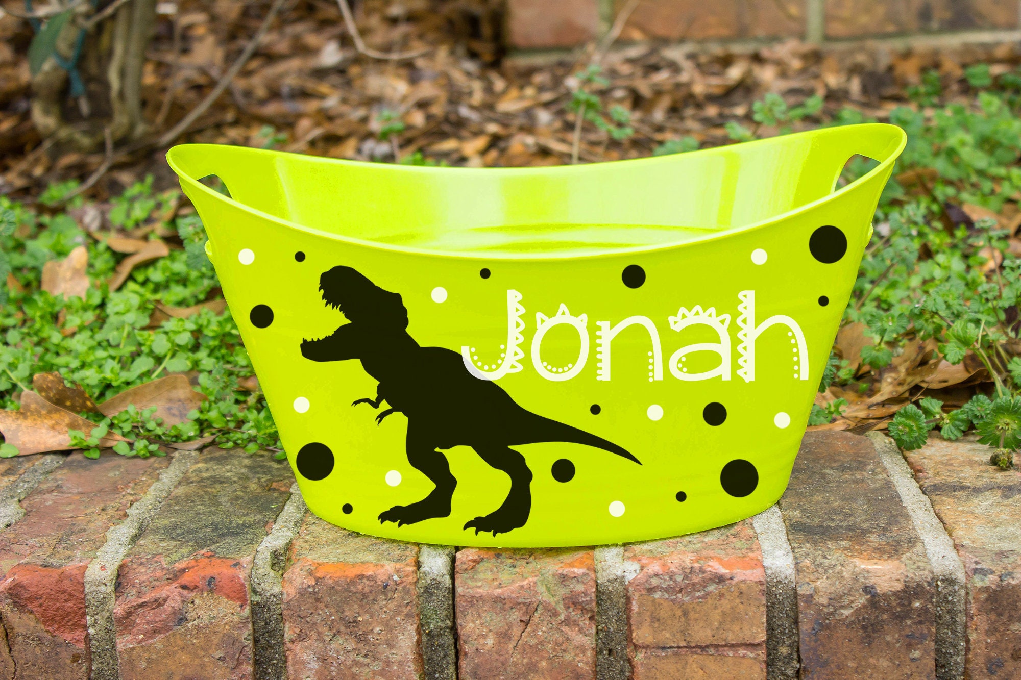 dinosaur bike basket