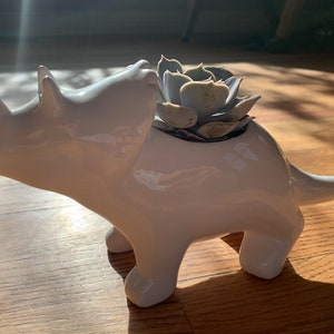 Tony the Triceratops White Dino Planter | Succulent, Planter, Dinosaur, Triceratops, Houseplant