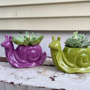 Gary the Snail Planter | pot, succulent, houseplant, gift