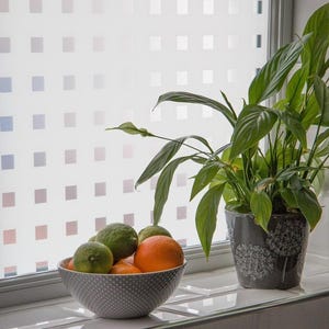 67.5cm x 1.5m dc fix CAREE static cling vinyl window privacy film