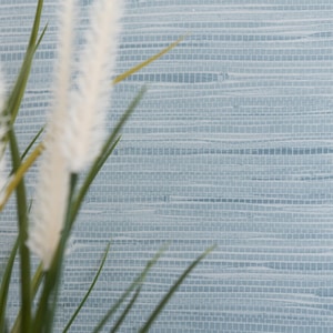 nu wallpaper SEAGRASS MIST peel & stick wallpaper