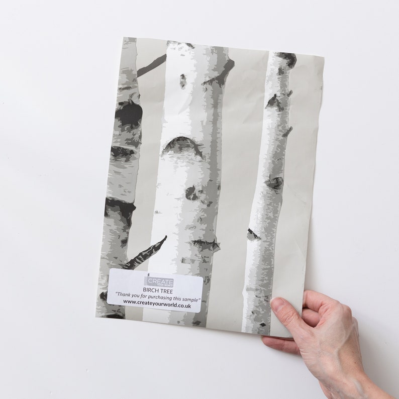 A4 SAMPLE BIRCH TREE Peel and Stick Wallpaper Etsy UK