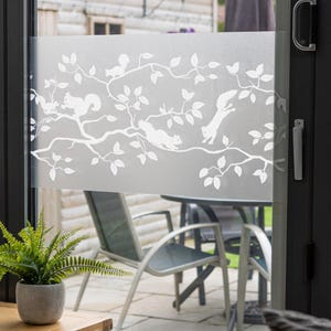 45cm x 1.5m dc fix PINEVIEW premium static cling vinyl window privacy film