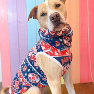 red sox dog jacket