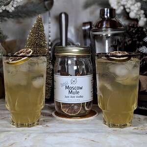 Orange Moscow Mule Cocktail Infusion Kit image 4