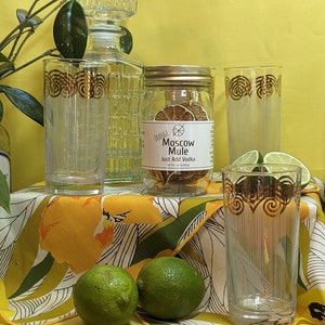 Orange Moscow Mule Cocktail Infusion Kit image 5