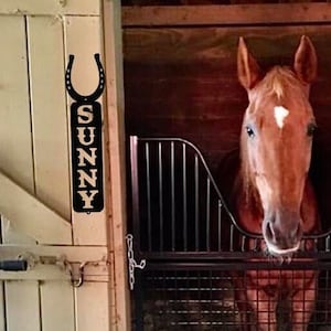 Vertical Horse Stall Post Plate | Personalized Horse Name Plate | Metal Name Plate | Barn Sign