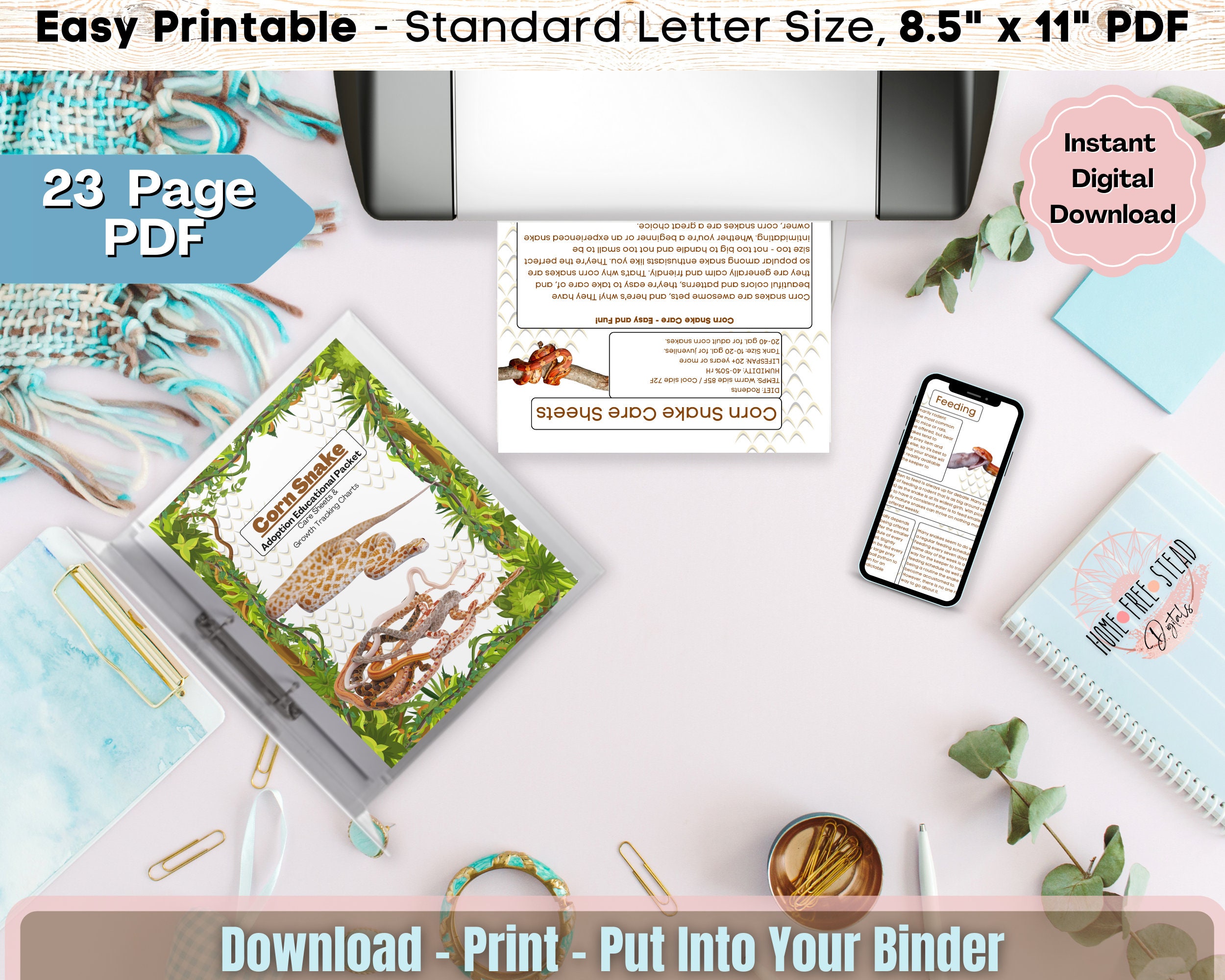 Corn Snake Adoption Success PDF, Reptile Breeder, Snake Breeder Pdf