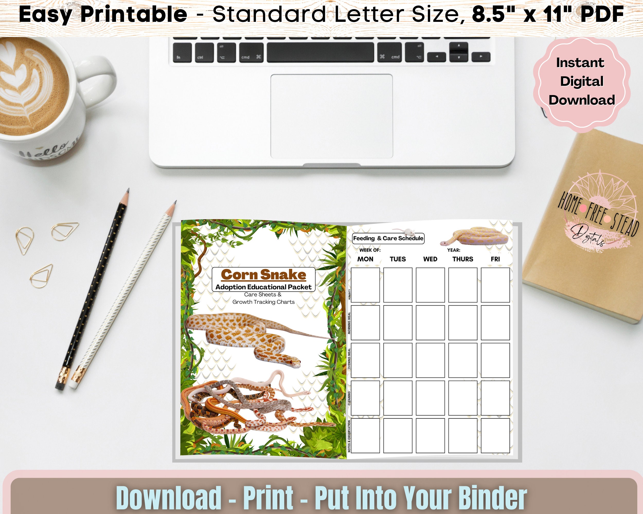 Corn Snake Adoption Success PDF, Reptile Breeder, Snake Breeder Pdf