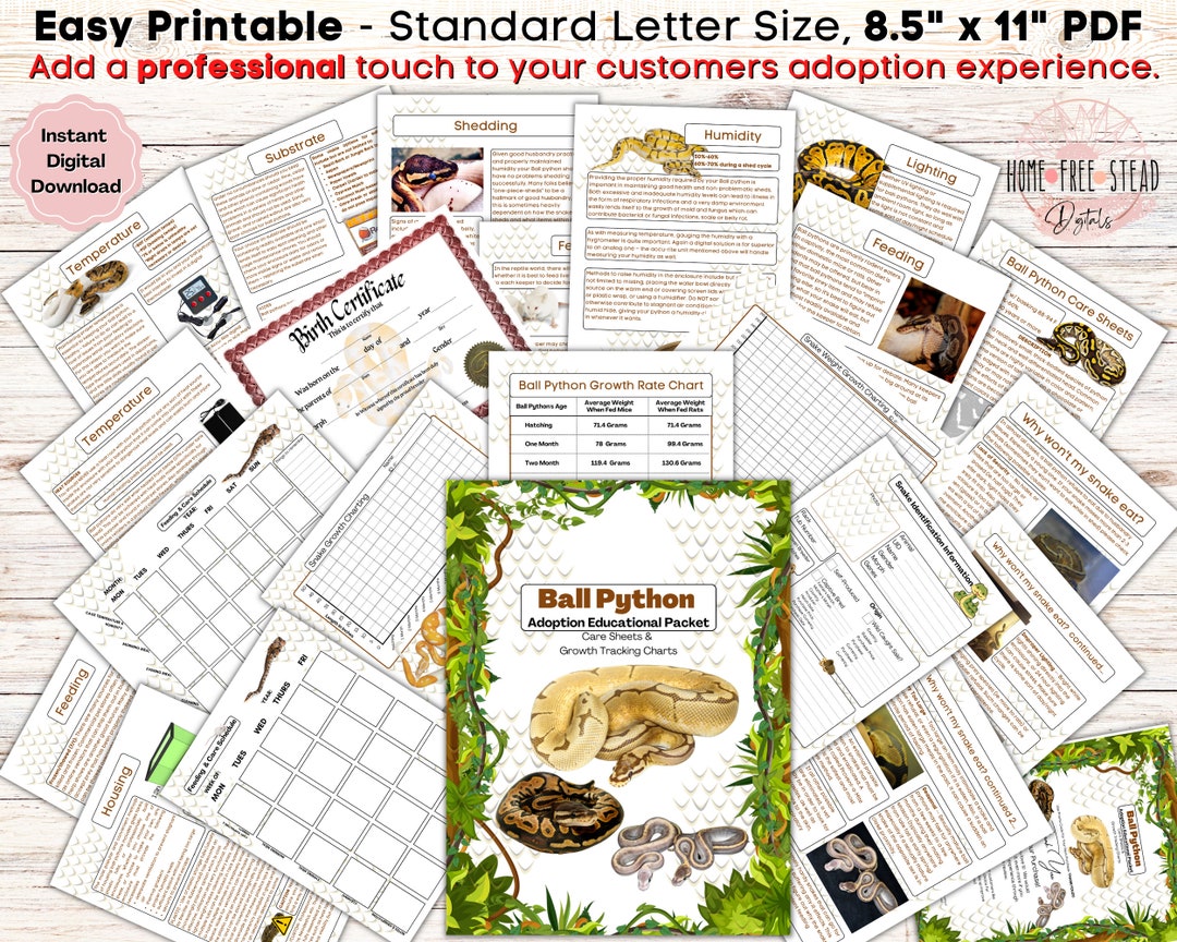 Ball Python Adoption Info Packet, Reptile Breeder, Snake Breeder Pdf ...